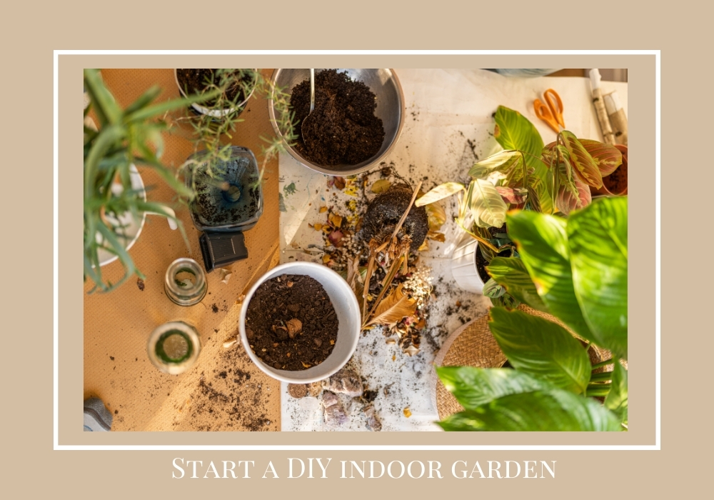 Start a DIY indoor garden with 4 important tips