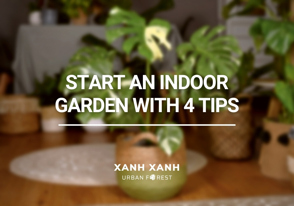 Start-a-DIY-indoor-garden-with-4-important-tips
