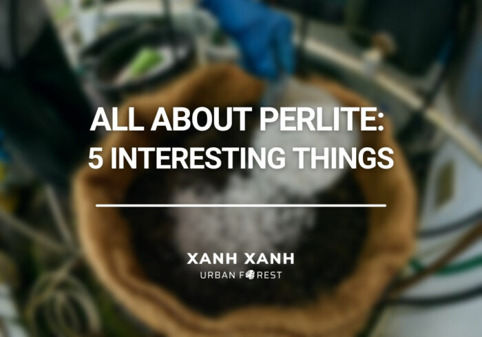 perlite 5 things