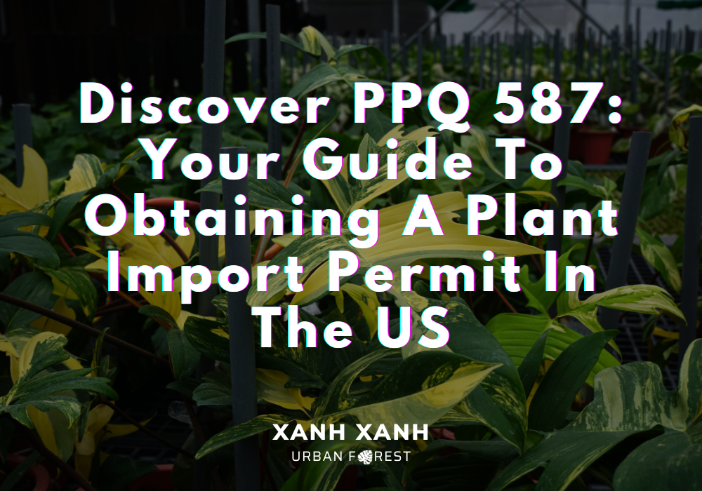 ppq-587-plant-import-permit-us