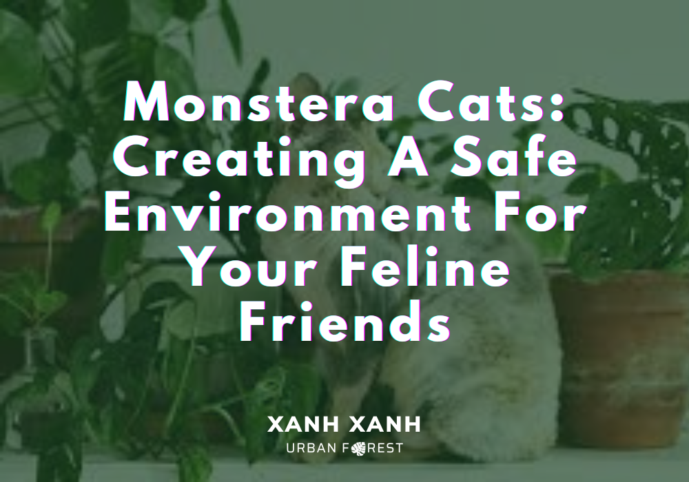monstera-cats-safe-environment