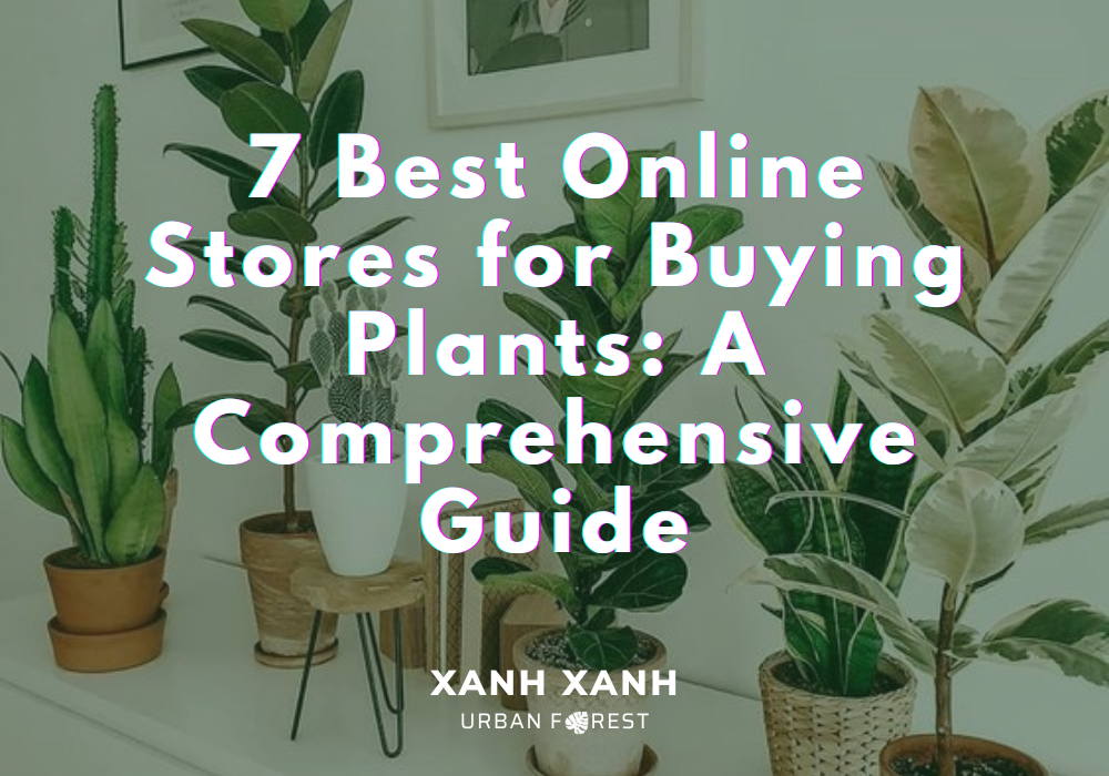 7-best-online-stores-for-buying-plants