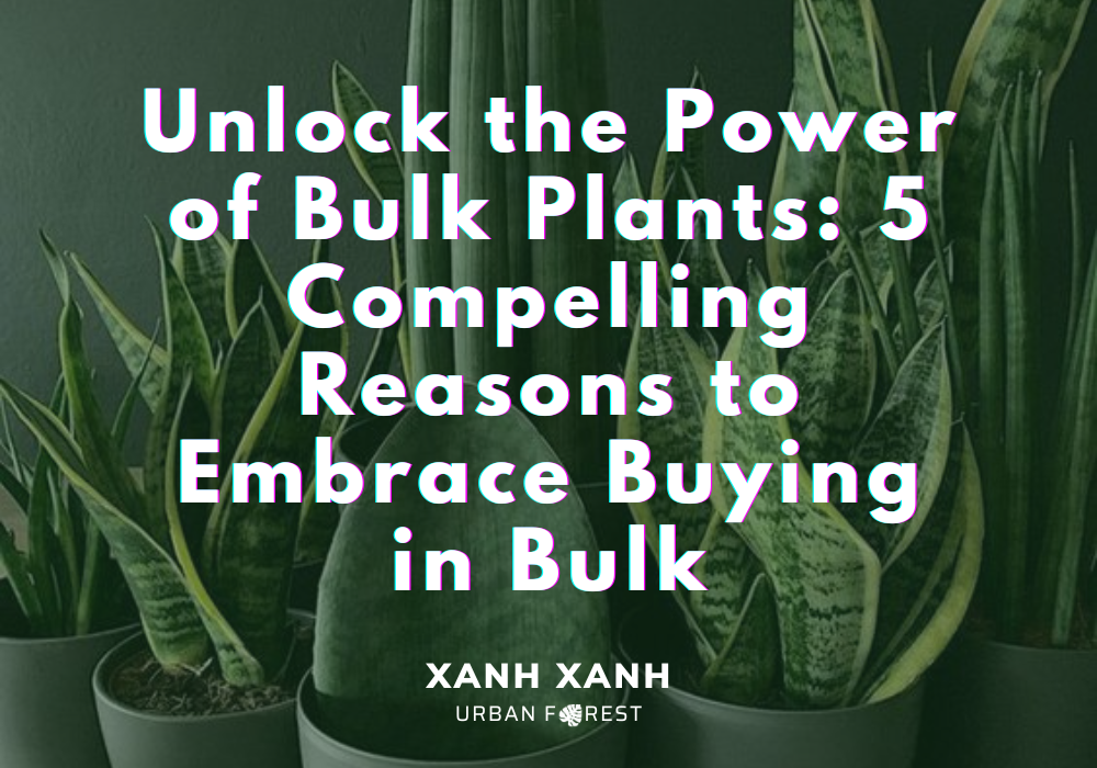 the-benefits-of-bulk-plants-5-reasons