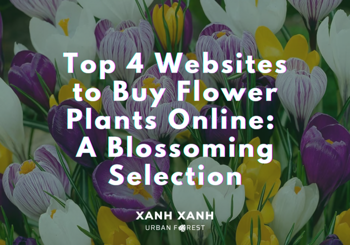 5-websites-flower-plants-online