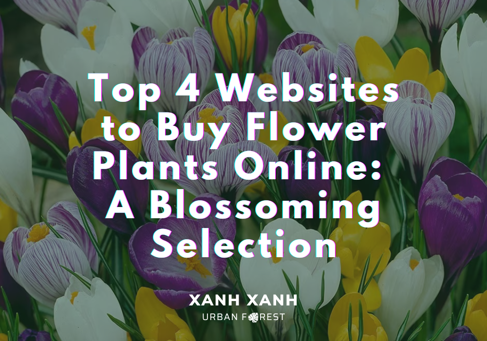 5-websites-flower-plants-online