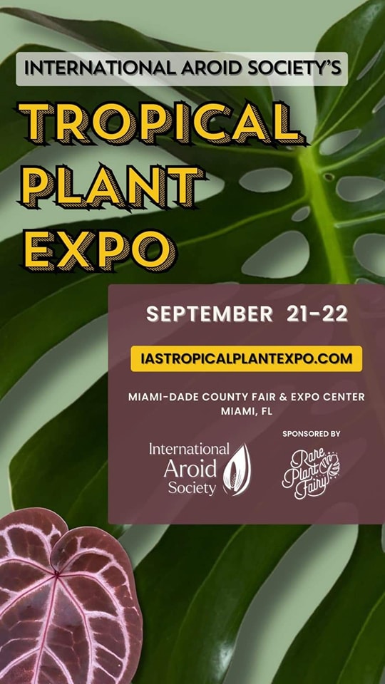 Xanh Xanh Urban Forest attends the International Aroid Society’s TROPICAL PLANT EXPO